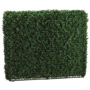 33 Inch Tall Boxwood Hedge Two Tone Green
